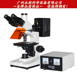 供应广州粤显 实验室落射荧光显微镜L1501工业荧光显微镜