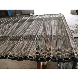 双节距大网孔网链-合肥输送机-不锈钢链板输送机价格