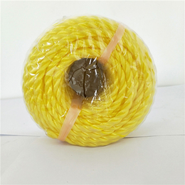 海南塑料绳-华佳绳业-彩色塑料绳