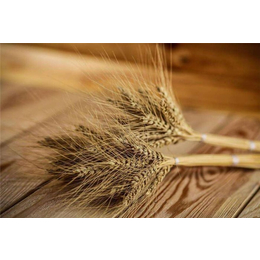 汉光农业有限公司(图)-大量求购小麦-本溪求购小麦