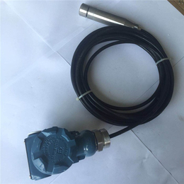 无锡拓蓝自动化公司-河南导气电缆式液位变送器