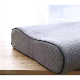 新正健（天津）(图)-羽丝棉枕研发生产-羽丝棉枕