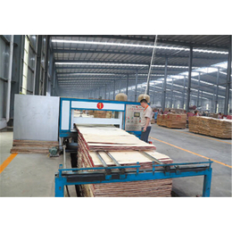 细木工板机械生产厂家-海广木业机械(推荐商家)