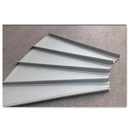 0.9厚氟碳铝镁锰板价格南京铝镁锰合金屋面板 缩略图