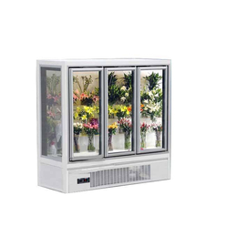 全自动鲜花柜-必然科技(在线咨询)-南京鲜花柜