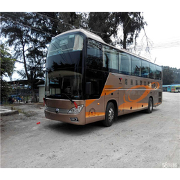 惠州巴士出租-金驹旅游汽车-巴士出租