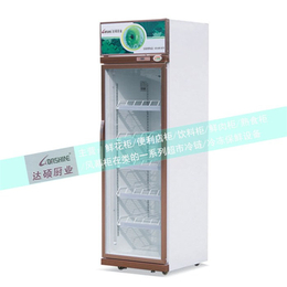 饮料冻柜哪家好-达硕制冷设备生产-晋城饮料冻柜