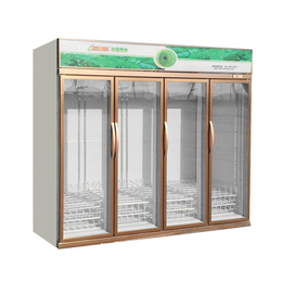 达硕冷冻设备生产-北京饮料冰柜-饮料冰柜价格