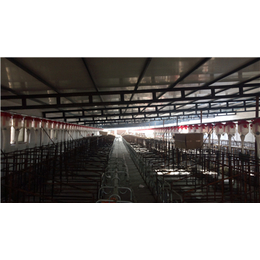 牧鑫养殖产品*-自动养猪料线厂家-河池自动养猪料线