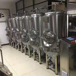 供应小型啤酒厂鲜啤酿造设备1000升自酿啤酒设备厂家批发价格缩略图