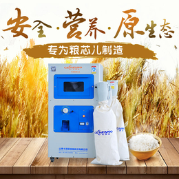 厂家*碾米机 小型稻谷脱壳打米水稻碾米机器缩略图