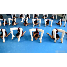 江西舞蹈培训-凤舞青云艺术培训中心-少儿舞蹈培训价格