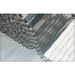 不锈钢网带厂家-长沙链板-提升机链板 316材质