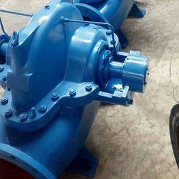 新楮泉泵业-白山大流量双吸泵生产厂家