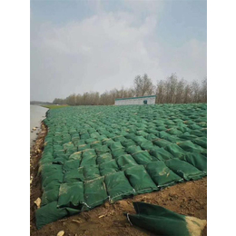 生态土工袋-安徽土工袋-厂家(在线咨询)