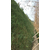安康边坡防护环保草毯-环保草毯-保湿绿化植被毯(查看)缩略图1