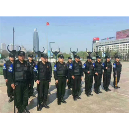 北京森德(图)-安保服务公司哪家好-广德安保服务公司