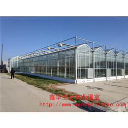 贵州贵阳玻璃温室搭建 智能玻璃温室大棚 智能温室工程造价