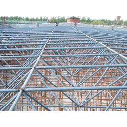 巴彦淖尔不锈钢网架-不锈钢网架报价-一建钢结构工程
