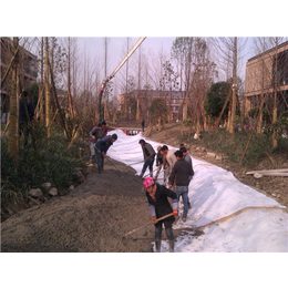 新疆膨润土防水毯-唐能-新疆膨润土防水毯厂子