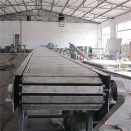 强盛网链-杭州不锈钢链板输送机-不锈钢链板输送机图片