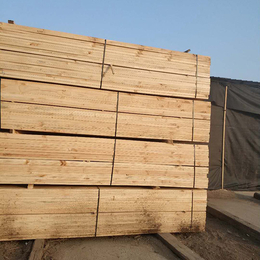国通木材-铁杉建筑木材-3米铁杉建筑木材多少钱一方