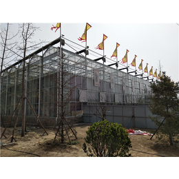 贵贵温室施工公司-牡丹江玻璃温室-玻璃温室主体结构设计
