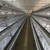 河南宏伟蛋鸡自动化设备养鸡设备阶梯式养鸡笼缩略图2