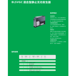 深圳无功偿SVG厂商-比力电气(在线咨询)-广州无功偿SVG