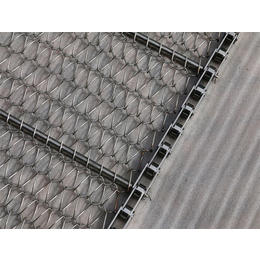 不锈钢传送带价格(图)-防锈链条编织传送带-潍坊传送带