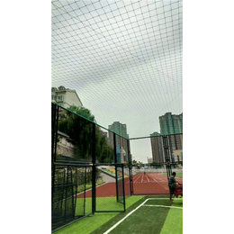霸鑫丝网-篮球场围网球场围网厂家*-北京篮球场围网球场围网