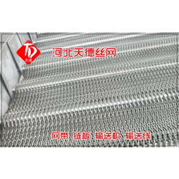 杭州洗衣液生产线链板-天德丝网输送带