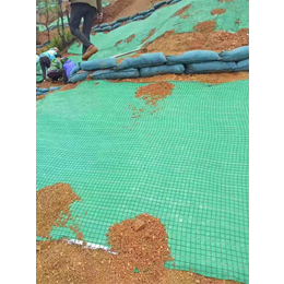 泸州椰丝毯-信联土工材料-*椰丝毯