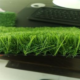 人造草坪厂家 人工草皮 草坪地毯 休闲草坪 草坪地毯
