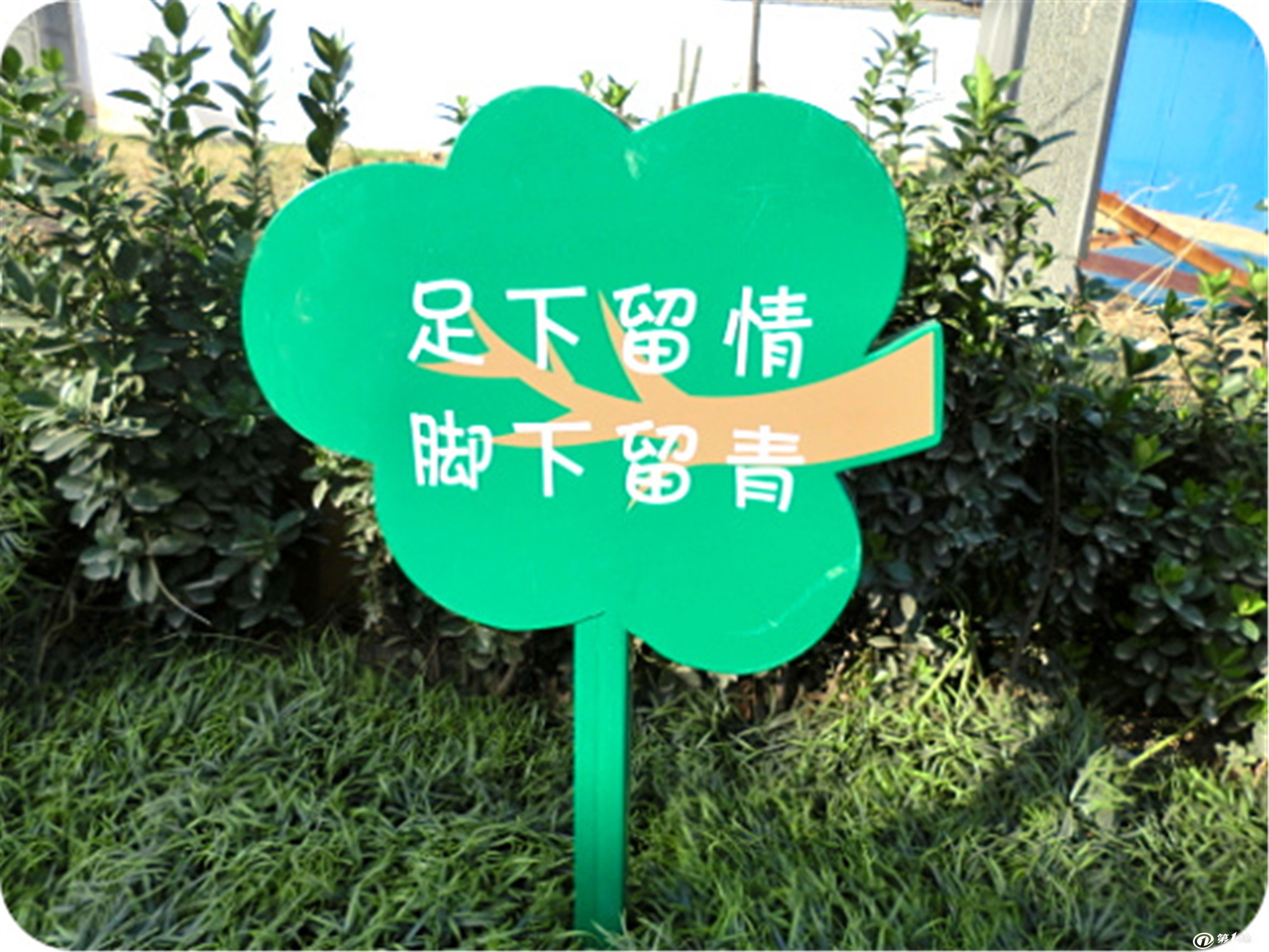 中创宣传牌保护提示小草牌草地爱护绿化草坪牌标识牌