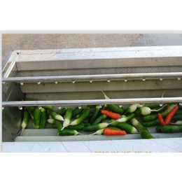 瓜果蔬菜清洗机价格-铁岭蔬菜清洗机-诸城诚达食品机械