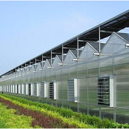 玻璃大棚厂家电话-渭南玻璃大棚-雄鼎农业品质保证