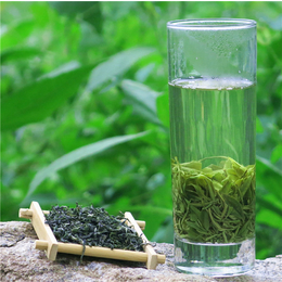 常山绿茶批发-峰峰茶业—库存丰富-绿茶批发商