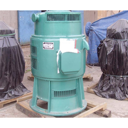 泰山泵业水泵-海东700ZLB轴流泵