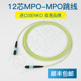 12芯MPO-MPO多模萬兆OM5進口MPO主干光纜