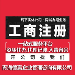 青海海西州申报公司注册****代理记账的实施方法