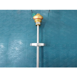热电阻器-中电天仪(在线咨询)-热电阻