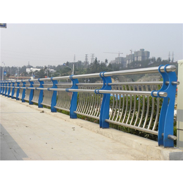 桥梁防撞栏杆-山东飞龙桥梁护栏