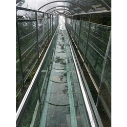 宜昌玻璃滑道-【大运旅游】-宜昌玻璃滑道规划设计