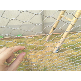 不锈钢绳网*-骐骏围栏-牡丹江不锈钢绳网