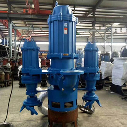 新楮泉泵阀-都兰潜水渣浆泵生产厂