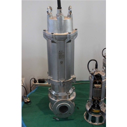 潜污泵的电机调试如何套定额-华奥水泵-陕西潜污泵