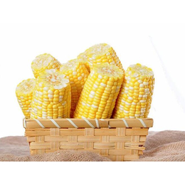长年求购玉米-齐齐哈尔求购玉米-汉光现代农业有限公司