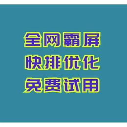    搜索引擎推广  0元建设网站 七天达到上万关键词首页排名