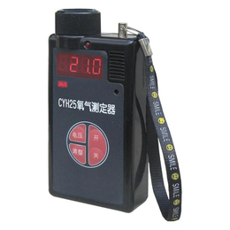 CYH25氧气测定器氧气浓度测定仪*